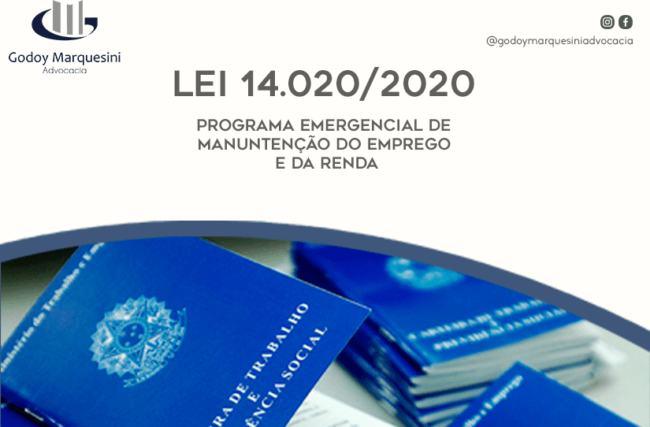 Conheça os principais artigos da Lei 14020/2020 – Programa Emergencial